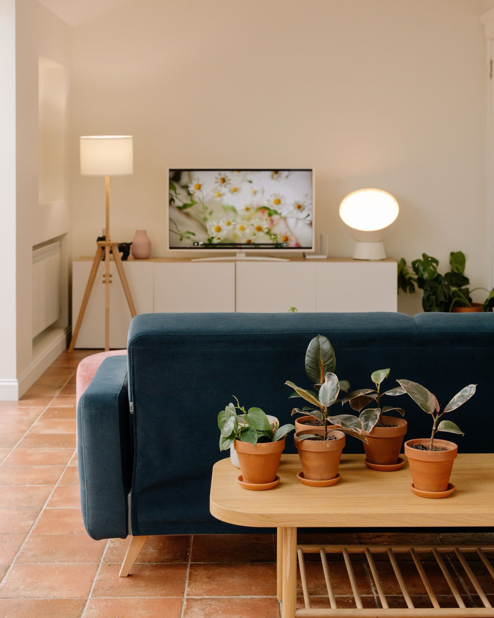 Salon d'un appartement meublé : canapé bleu, plantes, table basse en bois